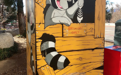 Mike Lucido’s Rad Raccoon character is painted on a downtown Reno signal box. Photo: Josie Glassberg